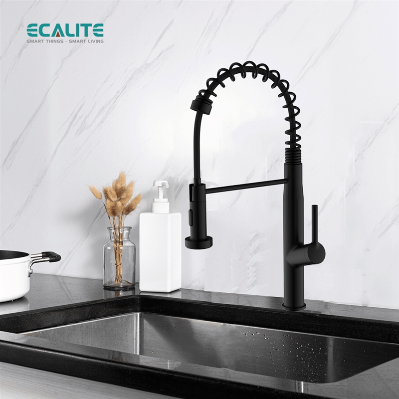 Vòi rửa chén nóng lạnh Pull-out Ecalite EF-K541B