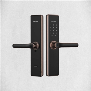 Khóa điện tử Hafele DL7600 912.20.231 (đồng bóng)