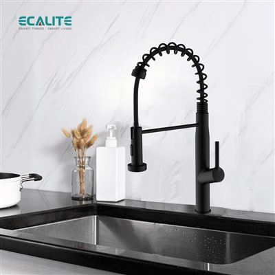Vòi rửa chén nóng lạnh Pull-out Ecalite EF-K541B