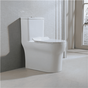 Bồn Cầu Một Khối Seine Hafele 588.82.405
