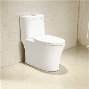 Bồn Cầu Một Khối Seine Hafele 588.82.413