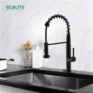 Vòi rửa chén nóng lạnh Pull-out Ecalite EF-K541B